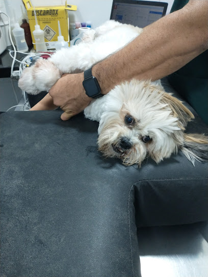 PET PLANO SAÚDE - Veterinário em Natal - RN