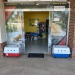 Imagem ilustrativa da empresa Pet Stop Clínica Veterinária em Brasília - DF