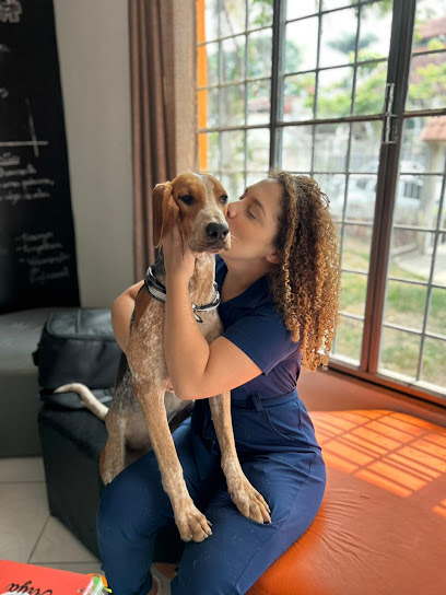 Petzero92 - Veterinário em Manaus - AM