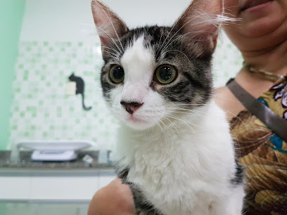 Ponto Dog Clínica Veterinária em Rio de Janeiro - RJ