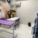 Imagem ilustrativa da empresa Popular Pet - Clínica Veterinária 24h - Urbanova em São José dos Campos - SP