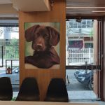 Imagem ilustrativa da empresa Promove Saúde Animal - Veterinário em Rio de Janeiro - RJ