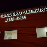Imagem ilustrativa da empresa Pronto Socorro Veterinário - PSV em Uberlândia - MG