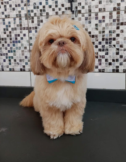 PSA Clínica Veterinária em São Bernardo do Campo - SP