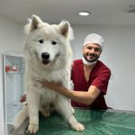 Imagem ilustrativa da empresa Qualipet Veterinária & Pet Shop em Brasília - DF