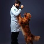 Imagem ilustrativa da empresa Rafael Luã Veterinário em domicílio em Natal - RN