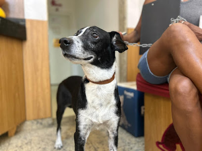 Rio Vet Clínica Veterinária e Pet Shop em São João de Meriti - RJ