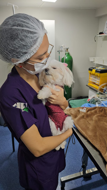 Imagem ilustrativa da empresa Salud Pet - Veterinário em Brasília - DF