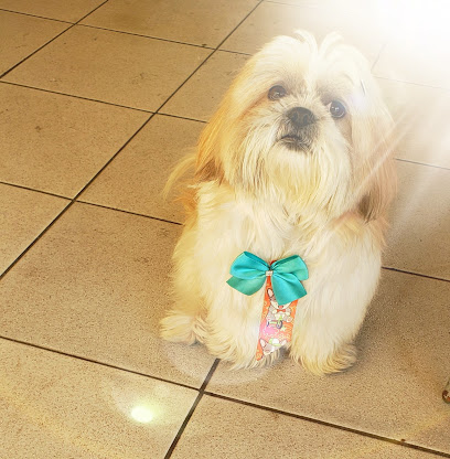 Samis Pet Clínica Veterinária em Santo André - SP