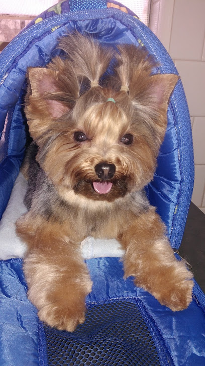 São Francisco Clínica Veterinária (Desde 1996) em Uberlândia - MG