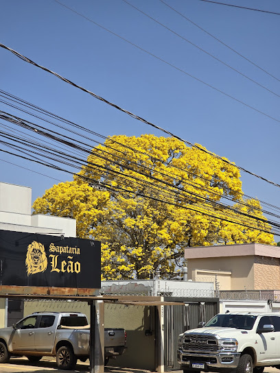 Sapataria Leão em Campo Grande - MS