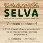 Imagem ilustrativa da empresa SELVA VETERINÁRIA - MEDICINA PARA ANIMAIS SILVESTRES E EXÓTICOS em São Bernardo do Campo - SP