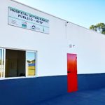 Imagem ilustrativa da empresa Serviço Veterinário Público do Distrito Federal em Brasília - DF