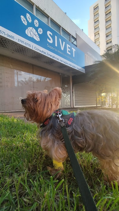 SIVET Suporte Intensivo Veterinário - Clínica Veterinária em Brasília - DF