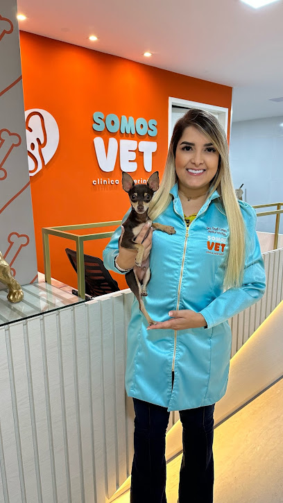 SomosVet 24hrs - Veterinário em João Pessoa - PB