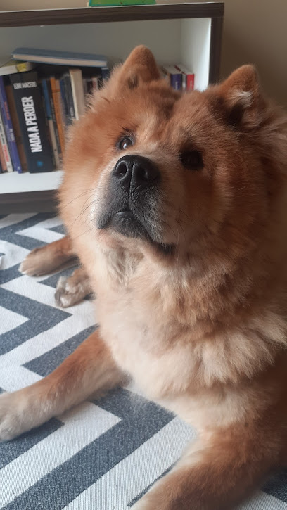 SUPER PET CLÍNICA VETERINÁRIA em São José dos Campos - SP