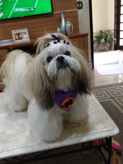 Teraoka Veterinária em São José dos Campos - SP