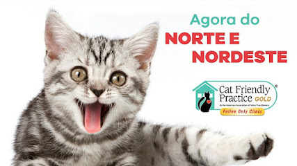 Unidade de Saúde Felina - Somente GATOS! - Veterinário em Manaus - AM