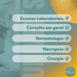Imagem ilustrativa da empresa UNIVET'S Clínica e Diagnóstico Veterinário em João Pessoa - PB