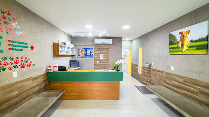 VEP Veterinária 24h - Clínica e Hospital em São Gonçalo - RJ
