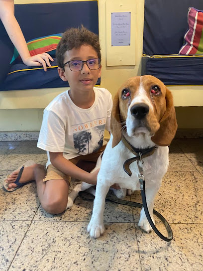 Vet Clinic Ltda - Veterinário em Rio de Janeiro - RJ