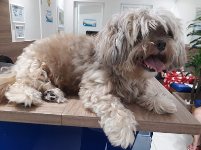 Vet Diagnosis - Veterinário em Rio de Janeiro - RJ