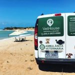 Imagem ilustrativa da empresa Vet House Veterinário à Domicílio em Natal - RN