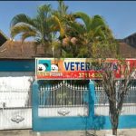 Imagem ilustrativa da empresa Vet Point Veterinária em São Gonçalo - RJ