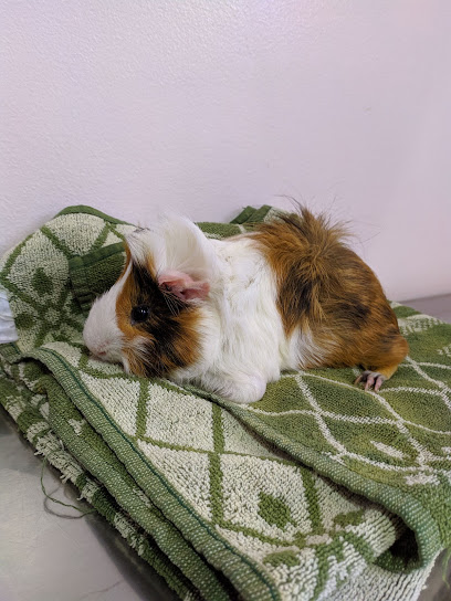 Vetbio - Clínica Veterinária de Animais Selvagens e Exóticos e Oncologia em São José dos Campos - SP