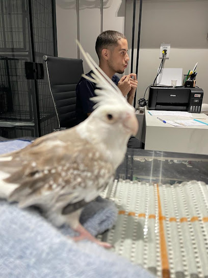 Veterinar - Clínica e Centro de Imunização em João Pessoa - PB