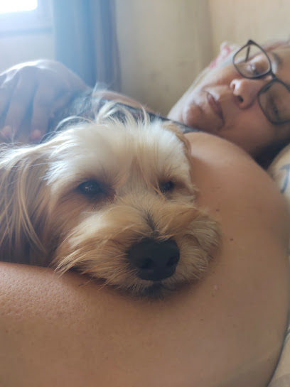 Veterinária Alcântara em São Gonçalo - RJ