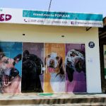 Imagem ilustrativa da empresa Veterinária Animed em São José dos Campos - SP