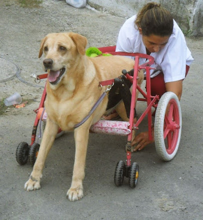 Veterinária Bandeirante São Gonçalo em São Gonçalo - RJ