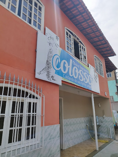 VETERINÁRIA COLOSSO em São Gonçalo - RJ