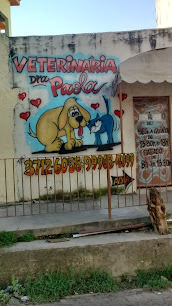 Veterinária Drª Paola em São Gonçalo - RJ