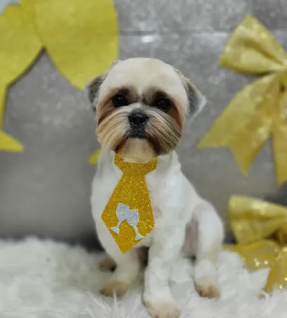Veterinária e Pet Shop Avila em São Gonçalo - RJ