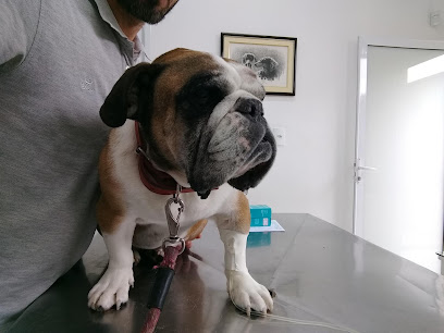 Veterinária e Pet Shop São Francisco em São José dos Campos - SP