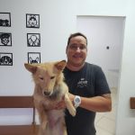 Imagem ilustrativa da empresa Veterinária Espíndola em São Gonçalo - RJ