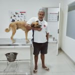 Imagem ilustrativa da empresa Veterinária Golden Vet em São Gonçalo - RJ