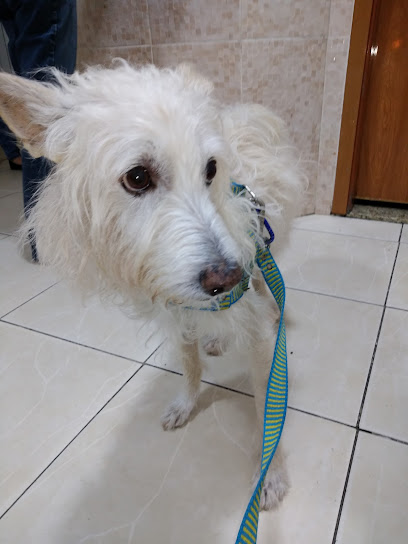 Veterinaria Leopoldina em Rio de Janeiro - RJ