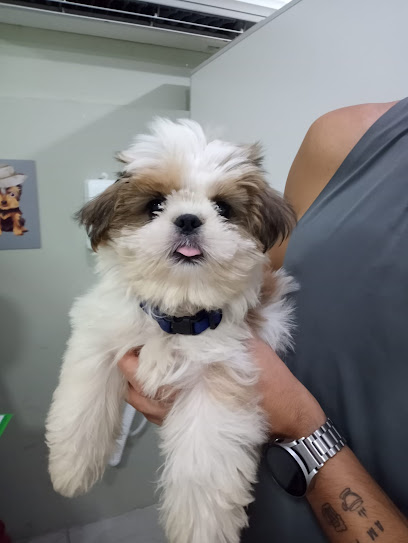Veterinária Popular Lervet Colubandê em São Gonçalo - RJ