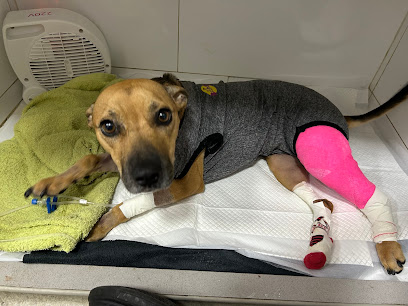 Veterinaria Popular Recreio em Rio de Janeiro - RJ