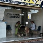 Imagem ilustrativa da empresa Veterinária Tribobó em São Gonçalo - RJ
