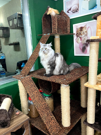 Veterinária Vira-Lata´s em São Bernardo do Campo - SP