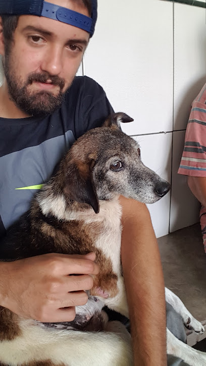Veterinário Dr Ernanes De Oliveira em Santo André - SP