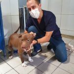 Imagem ilustrativa da empresa Veterinário em Domicílio - Rafael Vilar em Natal - RN