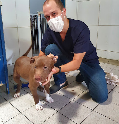 Veterinário em Domicílio - Rafael Vilar em Natal - RN