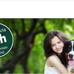 Imagem ilustrativa da empresa Veterinários MELHORES AMIGOS / Atendimento Veterinário Domiciliar em Brasília - DF
