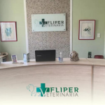 Imagem ilustrativa da empresa Vetfliper - Clínica Veterinária 24 horas em Rio de Janeiro - RJ