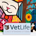 Imagem ilustrativa da empresa Vetlife Clínica Veterinária 24 horas | Consultas, Exames e Emergências em São Bernardo do Campo - SP
